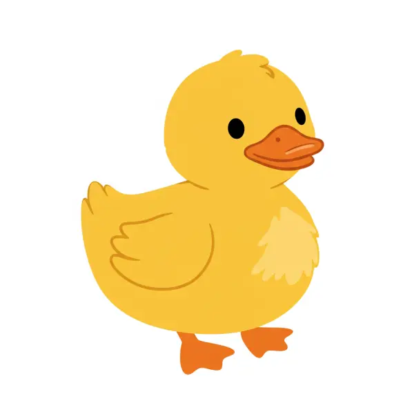 Duck Puzzle